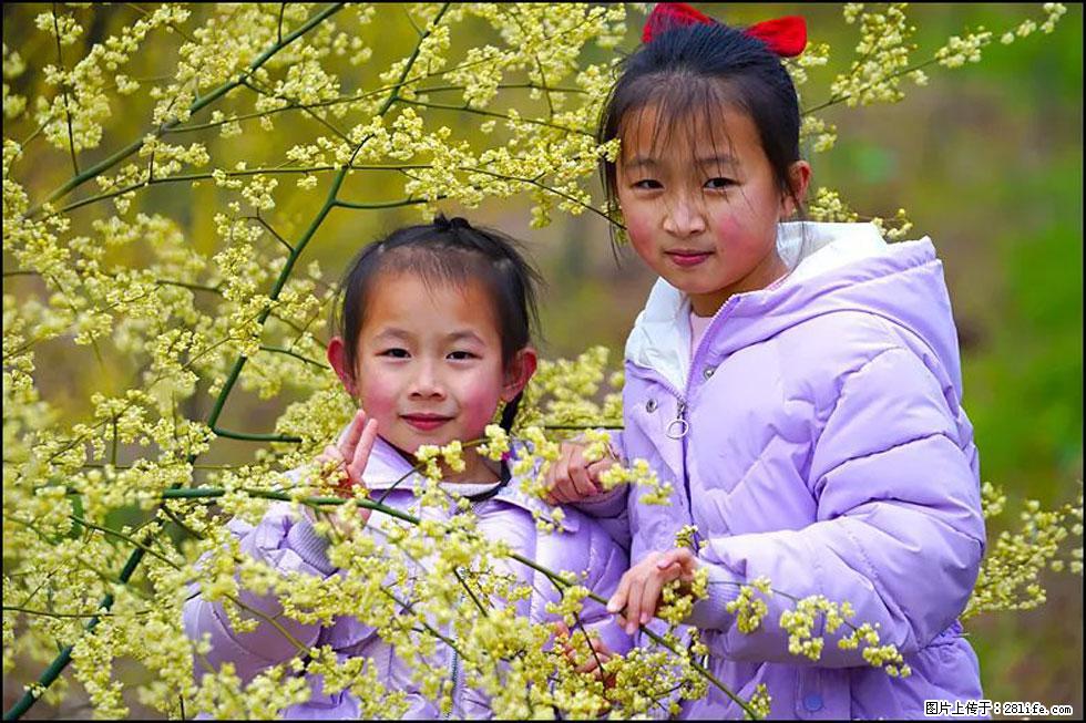 【春天,广西桂林灌阳县向您发出邀请!】米珠山前有片山苍子花在飘香 - 游山玩水 - 宜春生活社区 - 宜春28生活网 yichun.28life.com