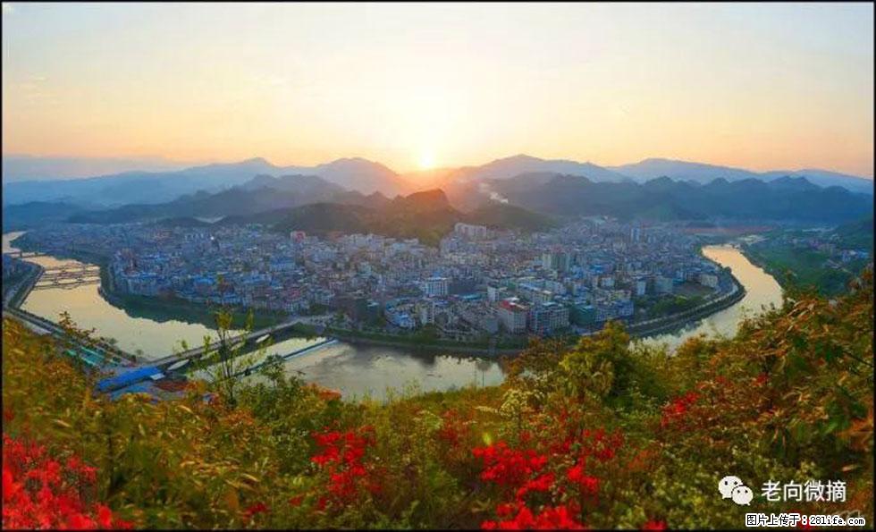 【春天,广西桂林灌阳县向您发出邀请!】登麒麟山,相约映山红 - 游山玩水 - 宜春生活社区 - 宜春28生活网 yichun.28life.com