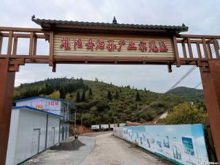 【灌阳县油茶产业示范区】一个有着充实的精神生活的人,对待身外之物自会有一种淡泊的态度 - 宜春28生活网 yichun.28life.com