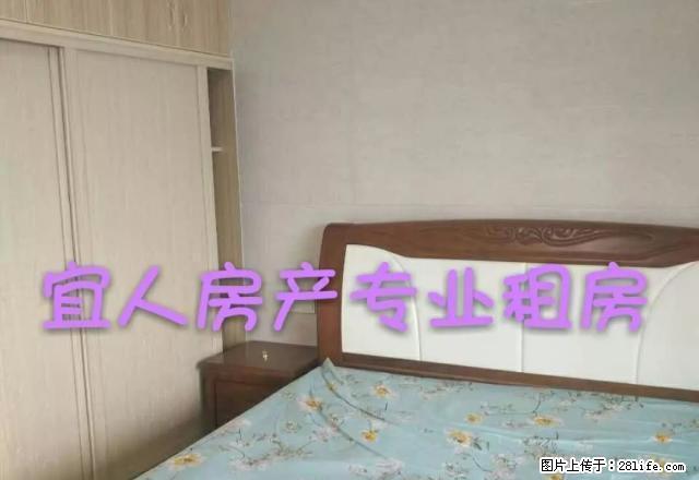 (租期长可面议)都市春天乐居名郡汇金广场精装有单独厨房和煤气 - 房屋出租 - 房屋租售 - 宜春分类信息 - 宜春28生活网 yichun.28life.com