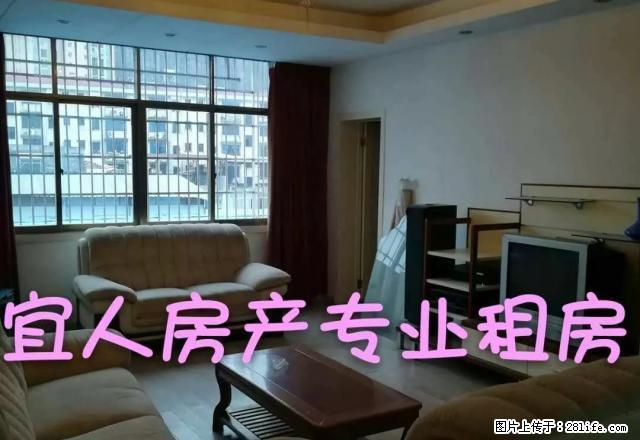 (特价房有钥匙)中山中路国光附近 三房 家电齐全 租期长面议 - 房屋出租 - 房屋租售 - 宜春分类信息 - 宜春28生活网 yichun.28life.com