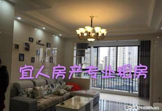 (有钥匙)袁州区各大小区 公寓两房三房四房价位不等 随时看房 - 宜春28生活网 yichun.28life.com