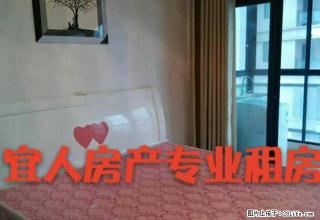 (有钥匙包物业管理费)朝阳西路幸福花园中央公馆 精装两房 - 宜春28生活网 yichun.28life.com