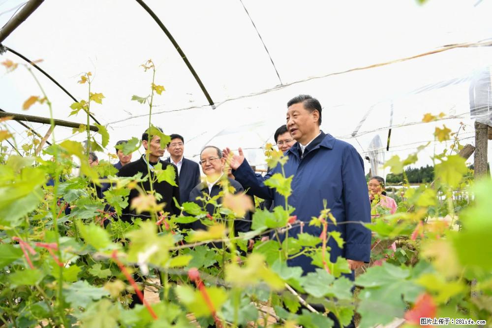 习近平赴广西考察调研 - 宜春生活资讯 - 宜春28生活网 yichun.28life.com