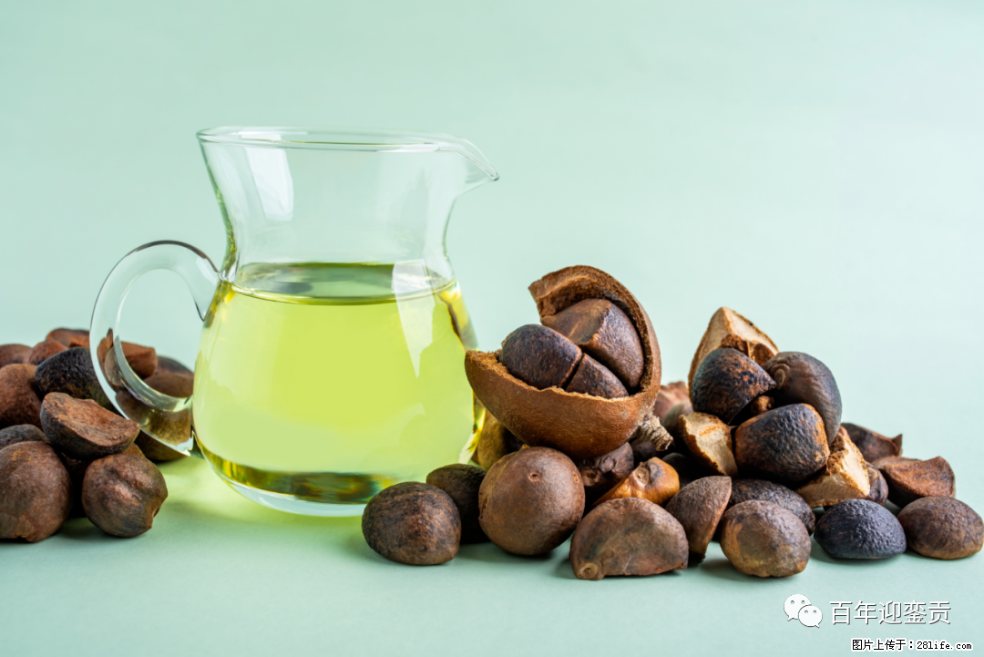 揭秘茶油的5大核心营养成分！被称为人体健康的“守护盾”！ - 宜春生活资讯 - 宜春28生活网 yichun.28life.com