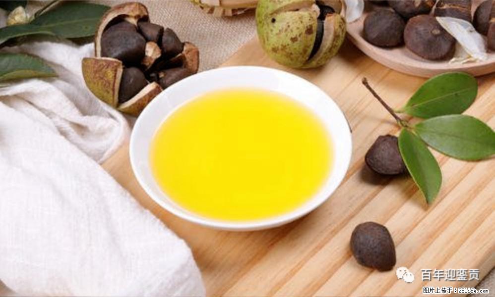 揭秘茶油的5大核心营养成分！被称为人体健康的“守护盾”！ - 宜春生活资讯 - 宜春28生活网 yichun.28life.com