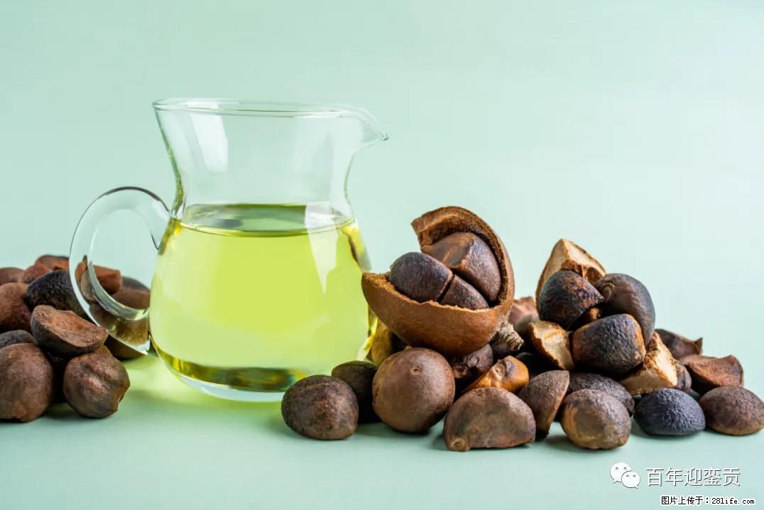世界没有真相，只有认知，最好的食用油是中国的山茶油！ - 宜春生活资讯 - 宜春28生活网 yichun.28life.com