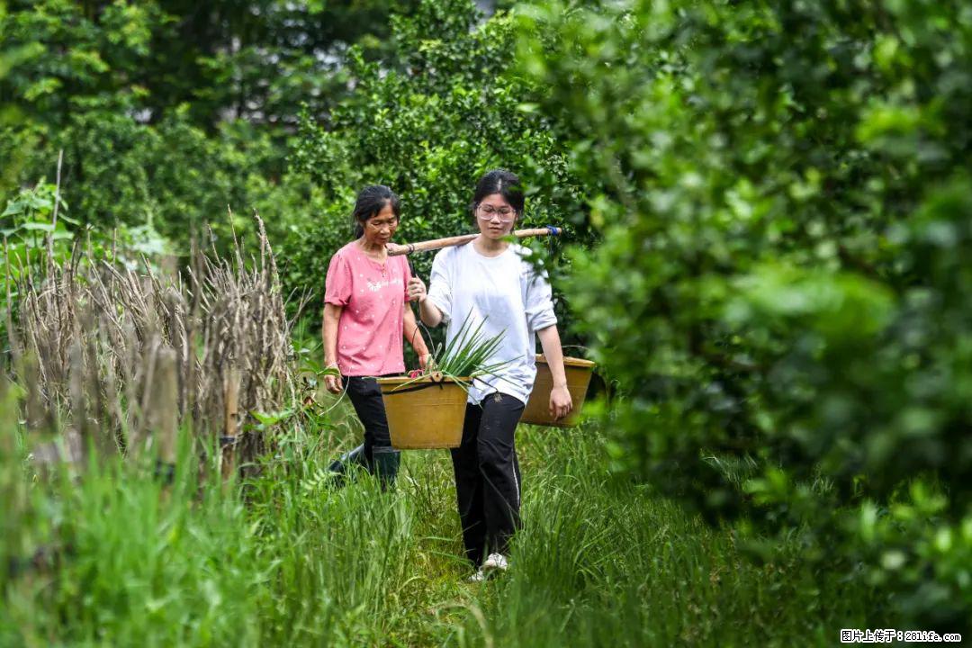 全网追的“扁担女孩”，找了一份暑假工，时薪12元 - 宜春生活资讯 - 宜春28生活网 yichun.28life.com