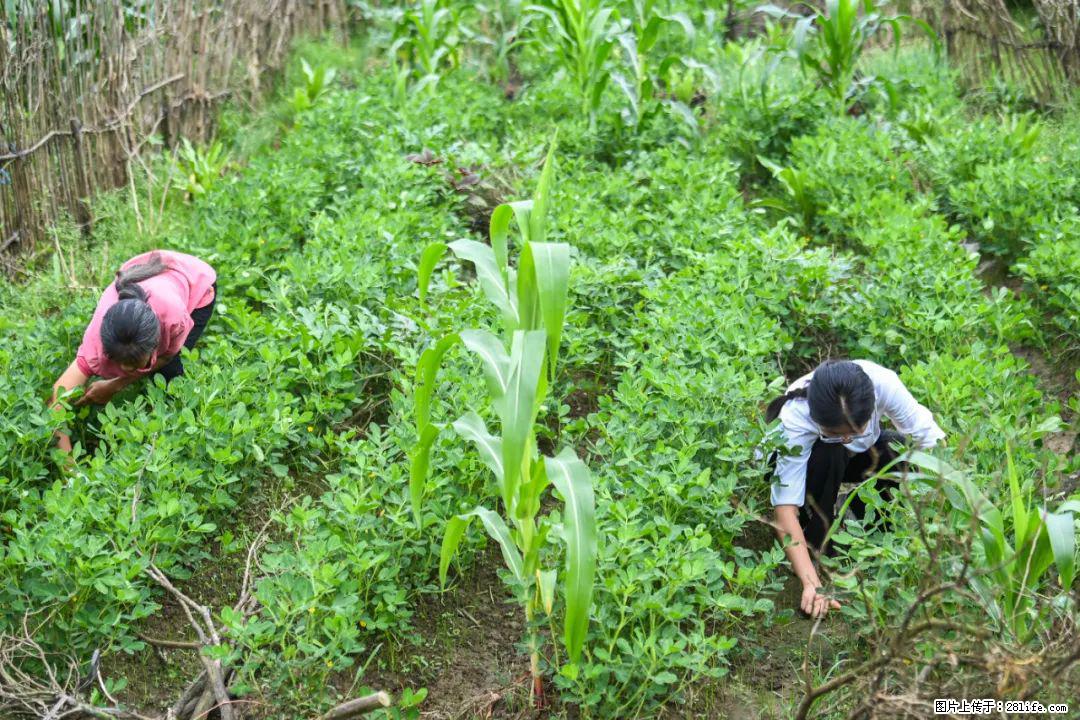 全网追的“扁担女孩”，找了一份暑假工，时薪12元 - 宜春生活资讯 - 宜春28生活网 yichun.28life.com
