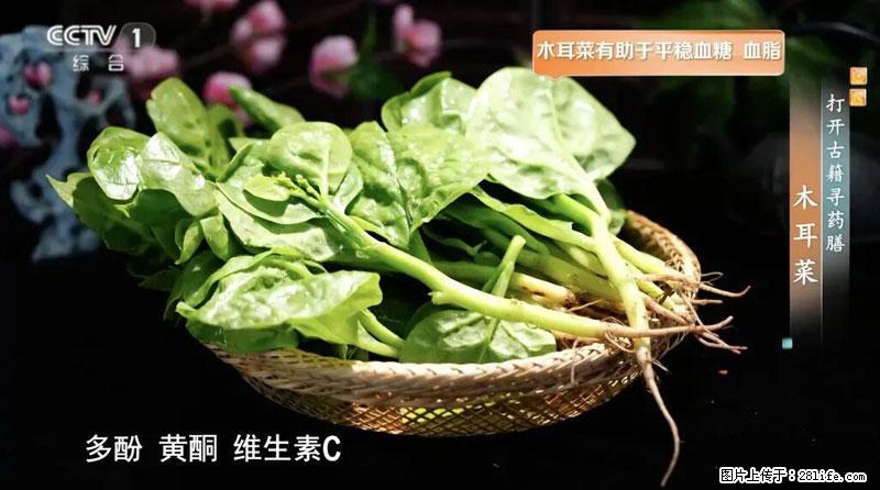 比牛奶补钙还厉害！凉血解毒、稳血糖...这菜冬天必吃，很多人却当草 - 宜春生活资讯 - 宜春28生活网 yichun.28life.com