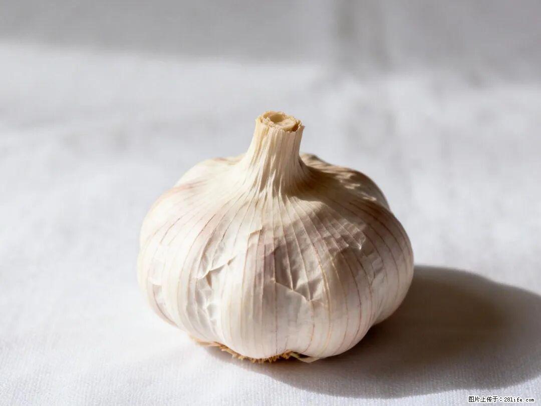关于大蒜，除了“天然抗生素”，这4个谣言更该警惕! - 宜春生活资讯 - 宜春28生活网 yichun.28life.com