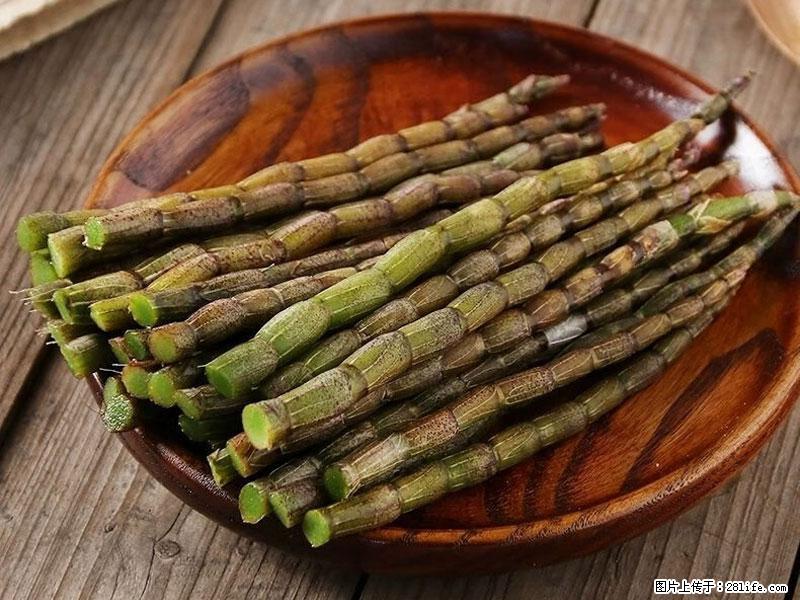 铁皮石斛的作用与功能主治 - 宜春生活资讯 - 宜春28生活网 yichun.28life.com