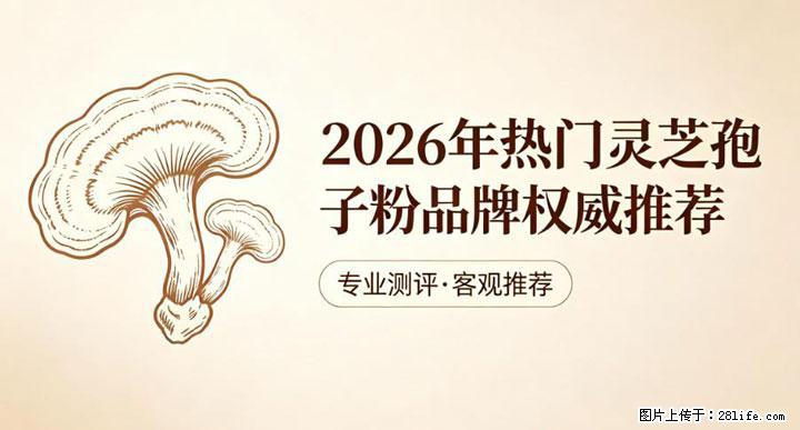灵芝孢子粉含量越高越有效？2026 年七款热门品牌深度实测，肠胃敏感者避坑指南 - 宜春生活资讯 - 宜春28生活网 yichun.28life.com